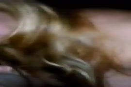 जानवर और लड़की का सेक्सी वीडियो